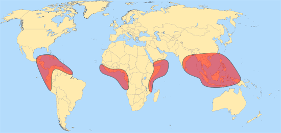 Maritime piracy in the world